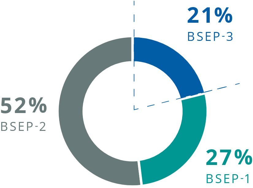 Limitations_chart-BSEPtypes-DT