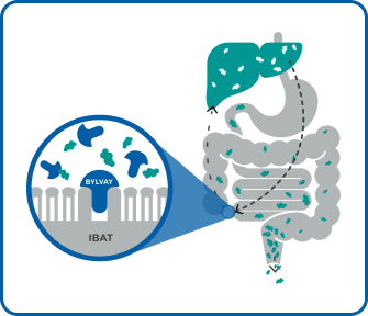 Diagram shows BYLVAY acting in IBAT.
